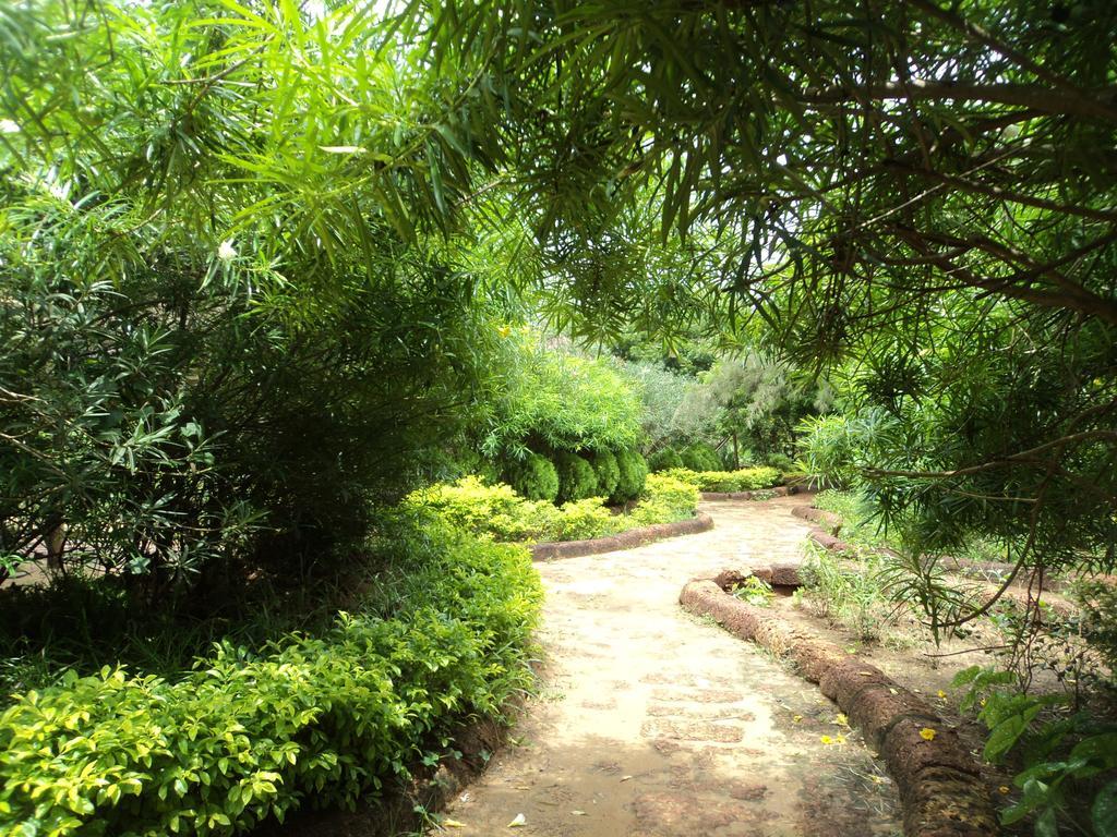 Lotus An Eco Konark